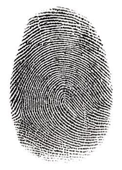 A Fingerprint in a Fingerprint: A Raman Spectral Analysis of Pharmaceutical Ingredients