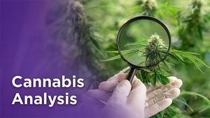 Webcasts: Cannabis Analysis