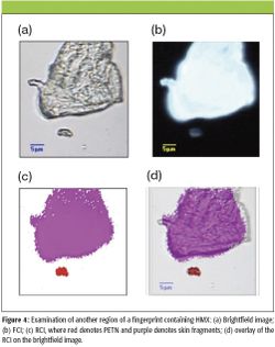 Raman Chemical Imaging of Explosive Contaminated Fingerprints for Forensic Applications