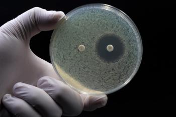 A doctor's or researcher's hand holding a Petri dish with a culture of bacteria on which an antibiotic disc test is performed. Antimicrobial resistance concept. | Image Credit: © TopMicrobialStock - stock.adobe.com