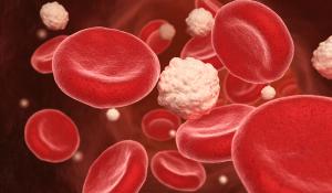 Blood cells and glucose in the vein | Image Credit: © Tatiana Shepeleva - stock.adobe.com