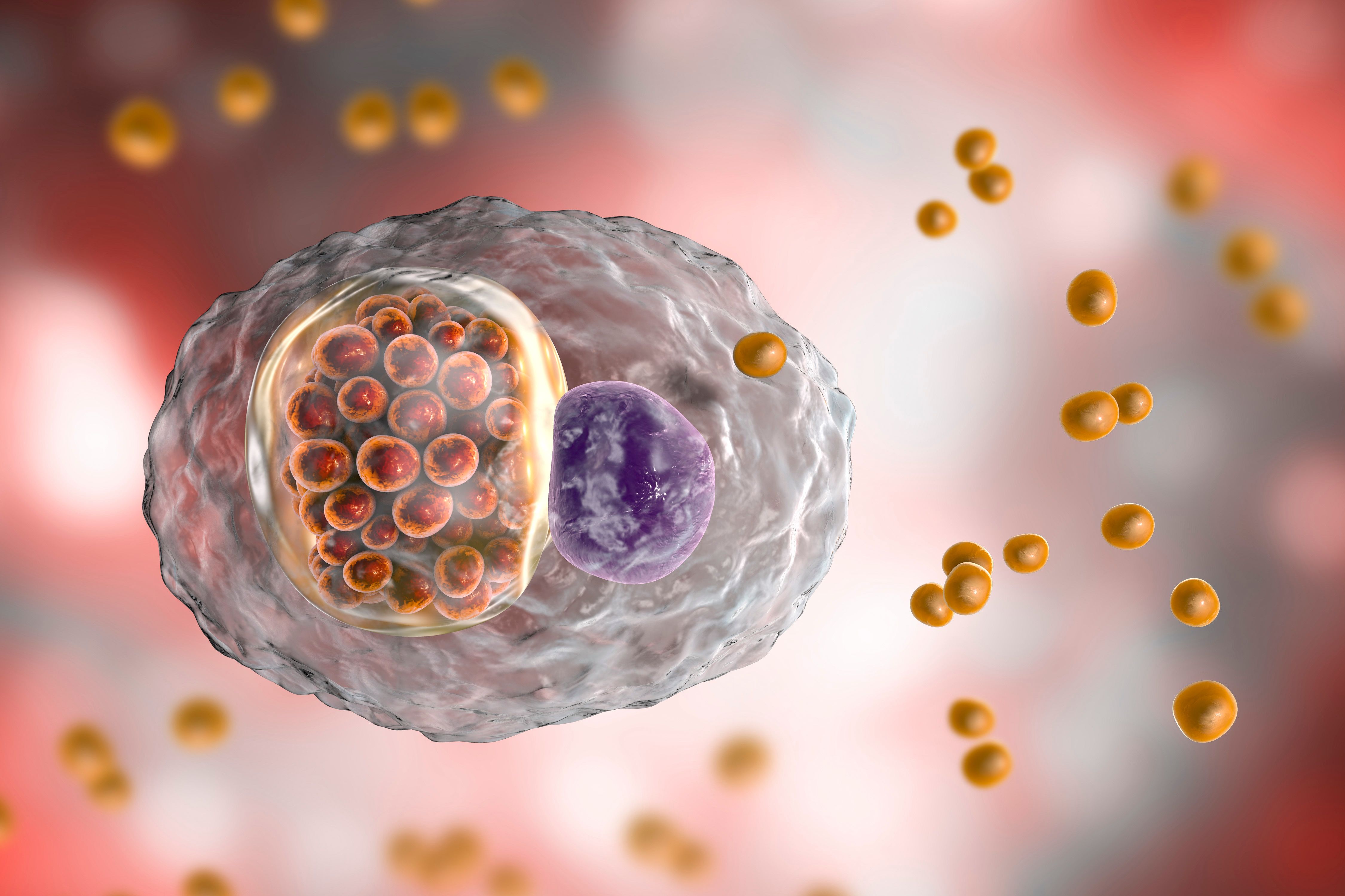 Novel Turn-on Fluorescent Silicon Nanoparticles For Intracellular Ph 