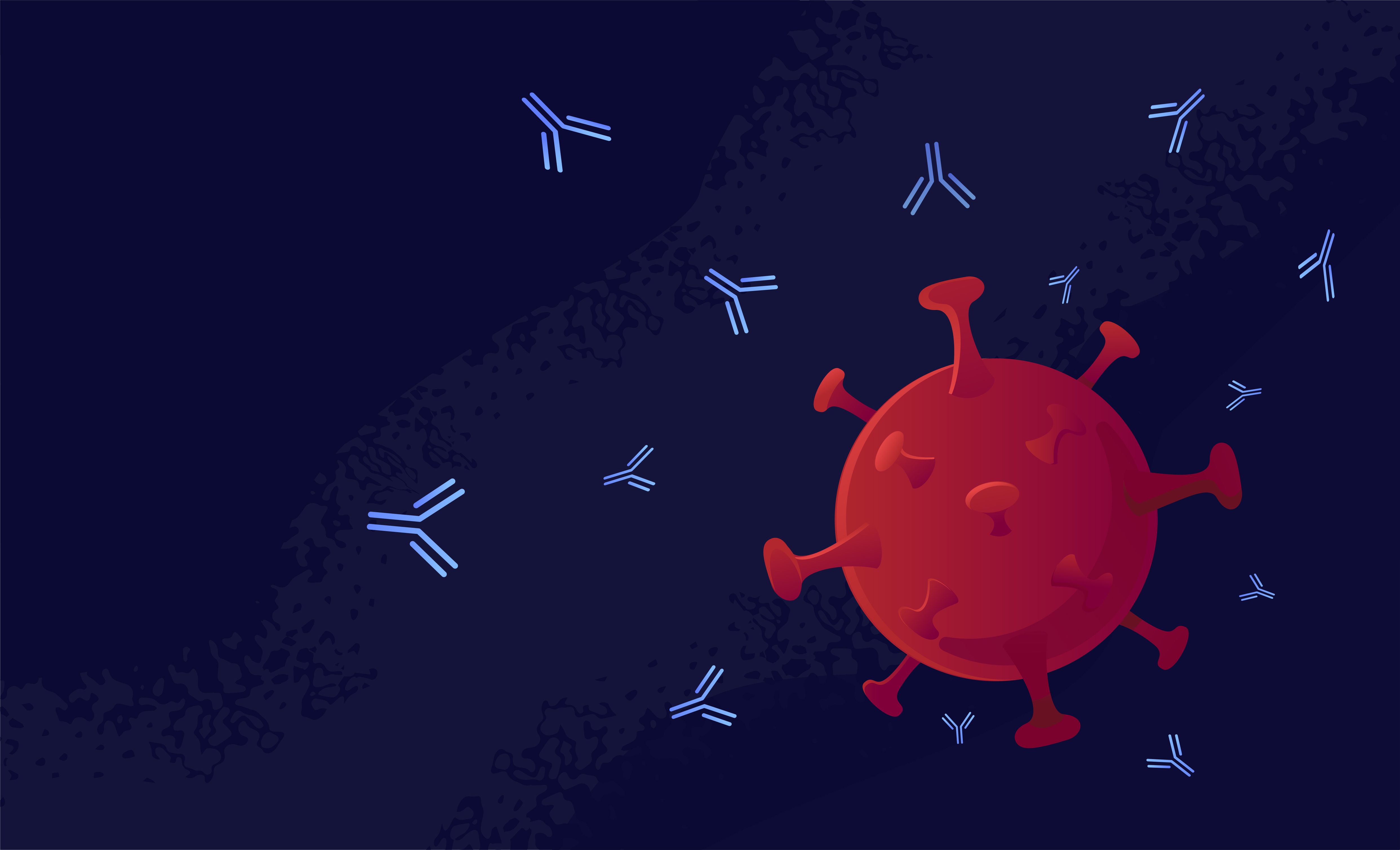 Human monoclonal antibody that blocks SARS-CoV infection. Virus neutralization therapy. | Image Credit: © Pandagolik - stock.adobe.com