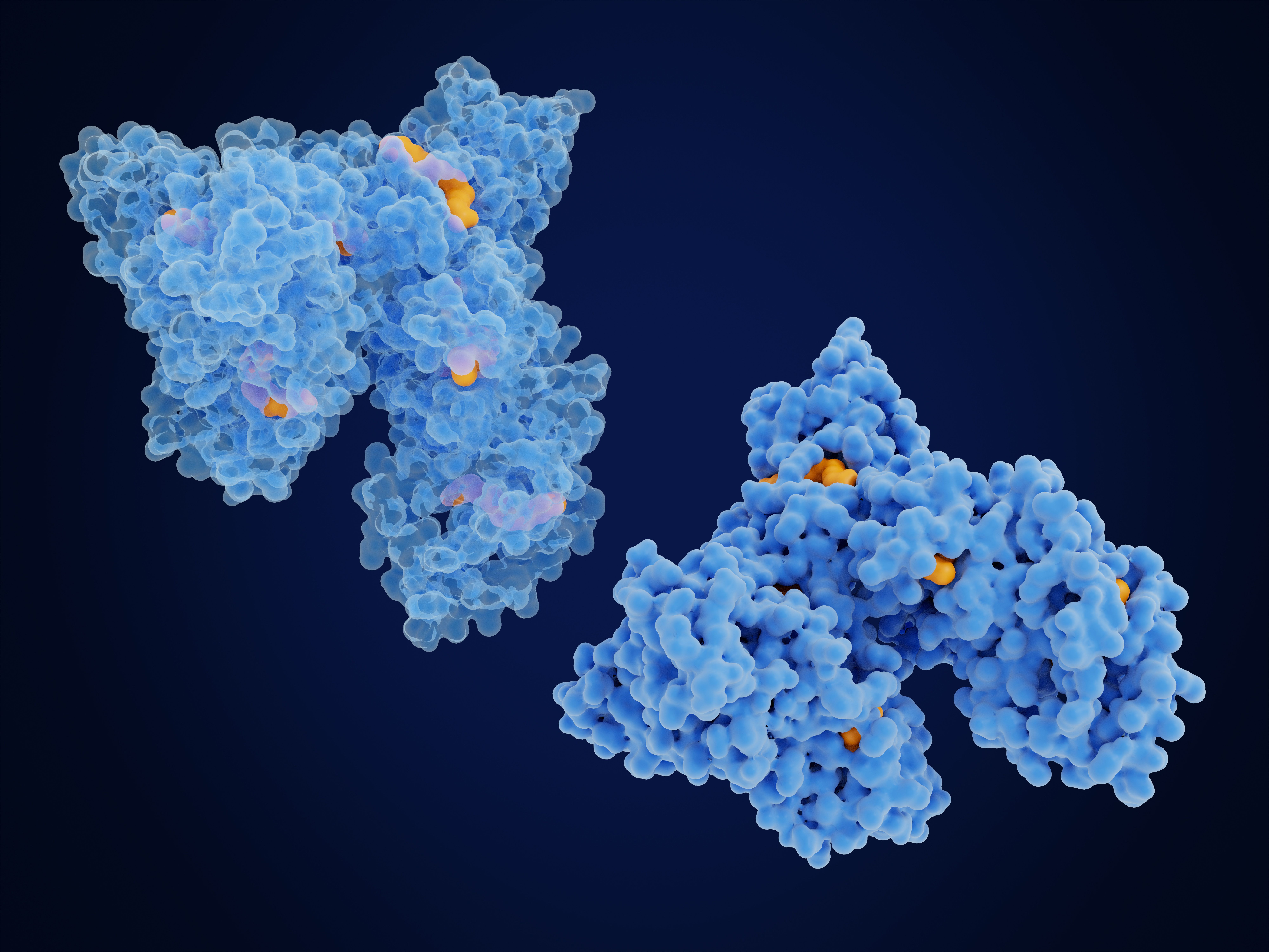 Human serum albumin molecules | Image Credit: © Juan Gärtner - stock.adobe.com
