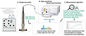 Schematic of the high-sensitivity inline Raman measurement system. A high light-collection-efficiency probe and a Raman spectrometer with a noise-reduction design enable the acquisition of Raman spectra with a high signal-to-noise ratio (S/N). Characteristic wavenumbers associated with target substances are extracted from the acquired spectra, and a predictive model is constructed. This enables real-time monitoring of the concentrations of target components and impurities. | Photo Credit: © Fujifilm and Horiba Ltd.