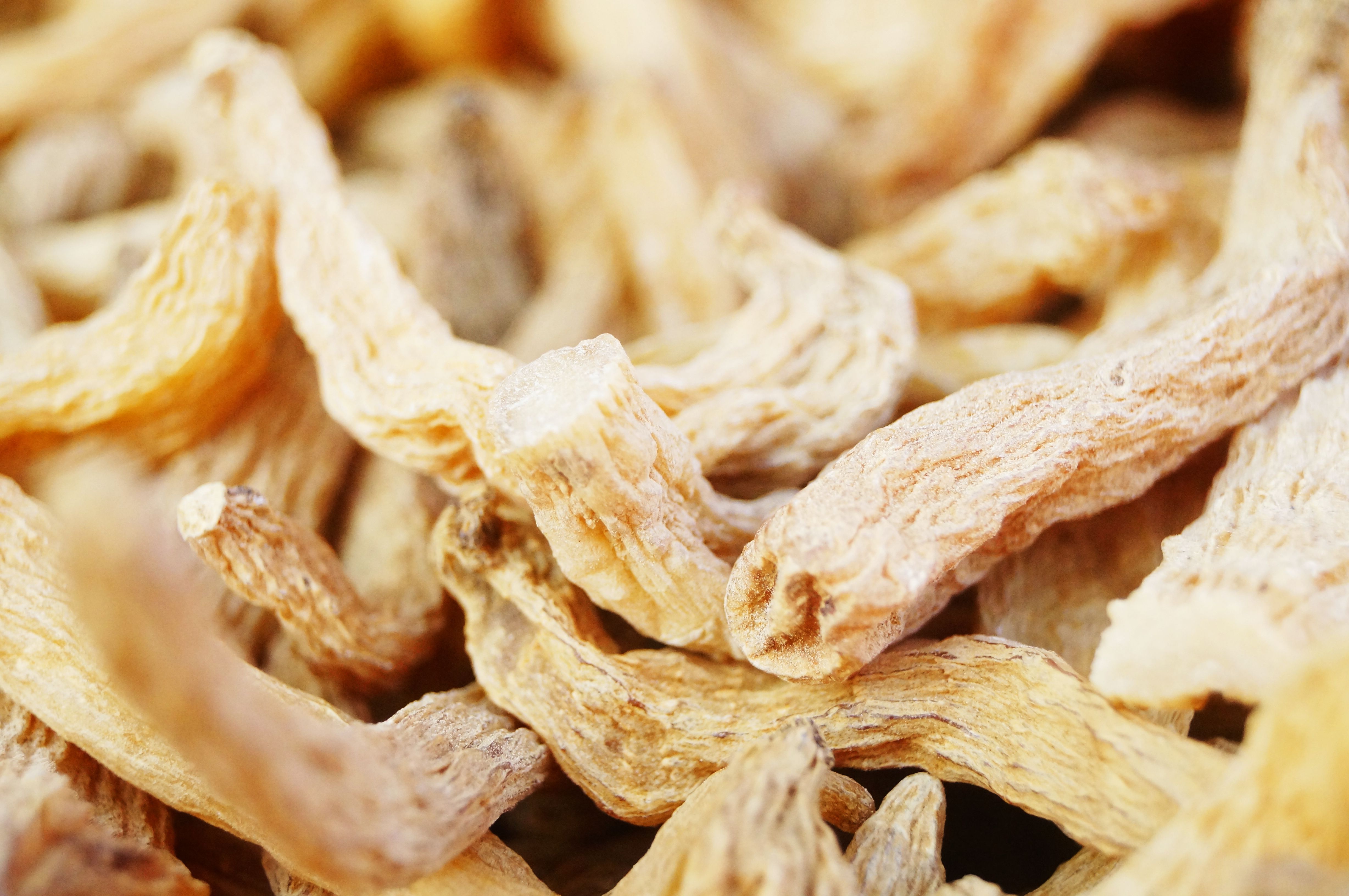 Wild gastrodia elata | Image Credit: © feng67 - stock.adobe.com.