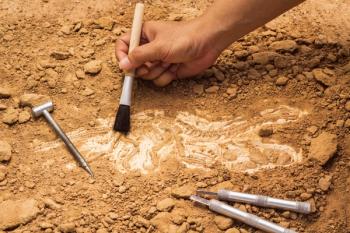Skeleton and archaeological tools. | Image Credit: © lufeethebear - stock.adobe.com