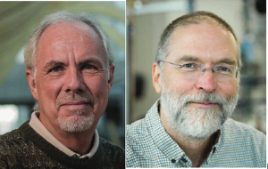 Multisource Correlation Analysis (MuSCA) Applied to Raman Spectroscopy for Biochemical Analysis