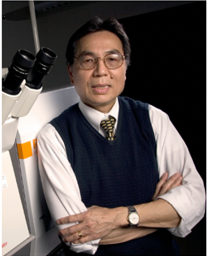 An Adventure with Light and Reflections on Science