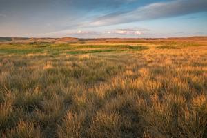Morning at Grasslands National Park | Image Credit: © jkgabbert - stock.adobe.com.