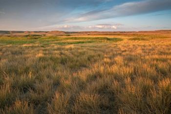 Morning at Grasslands National Park | Image Credit: © jkgabbert - stock.adobe.com.