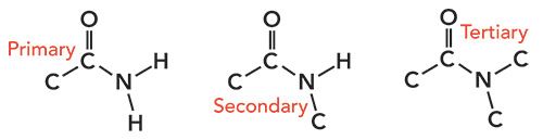 Organic Nitrogen Compounds VI: Introduction to Amides