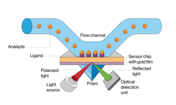 Surface plasmon resonance principle and instrumentation illustration © Likhitha -chronicles-stock.adobe.com