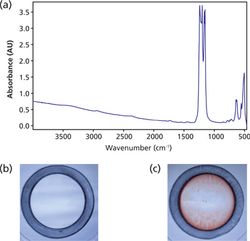A Rapid FT-IR-based Method for Monitoring Detergent Removal from Biological Samples
