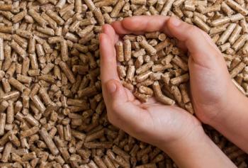 hand scooping up biofuel pellets