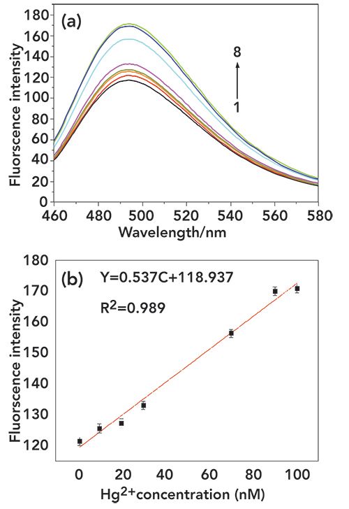 A Label And Enzyme Free Fluorescent Method For The Rapid And Simple Detection Of Hg2 In Cigarettes Using G Triplexes As The Signal Reporter