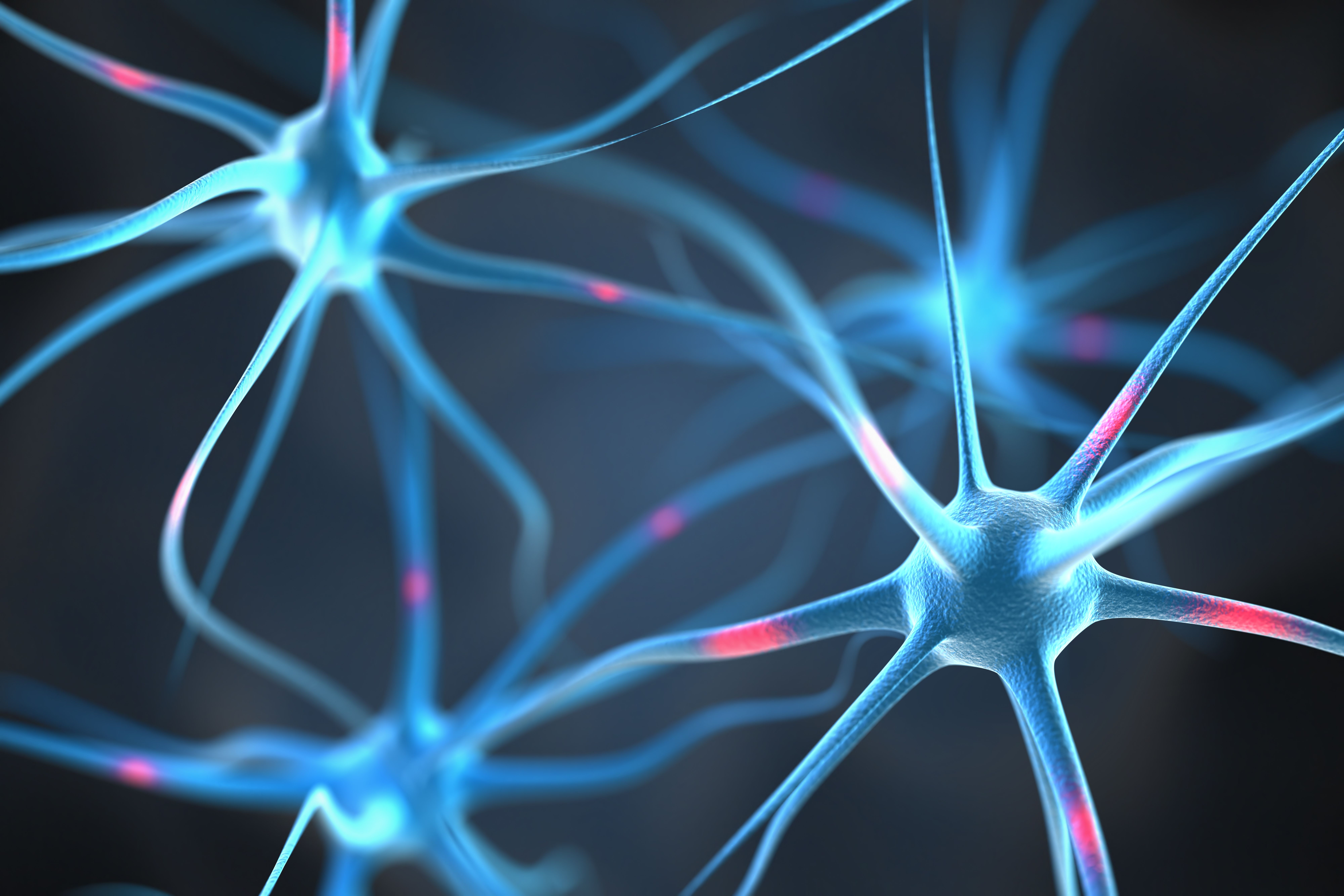 Neurons in the brain | Image Credit: © Leigh Prather - stock.adobe.com