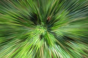 Organic Nitrogen Compounds X: Nitro Groups, An Explosive Proposition