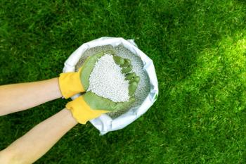 Feeding lawn with granular fertilizer for perfect green grass | Image Credit: © ronstik - stock.adobe.com