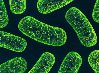 Mitochondria. 3D image. | Image Credit: © Wire_man - stock.adobe.com