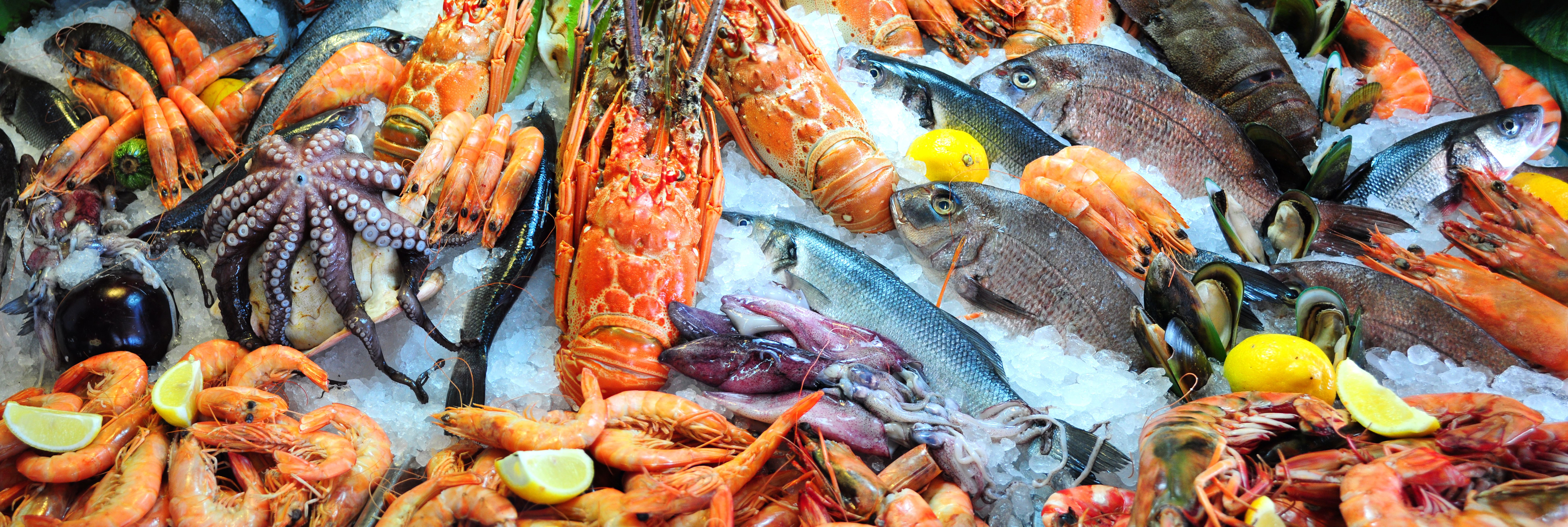 Fresh seafood | Image Credit: © singidavar - stock.adobe.com