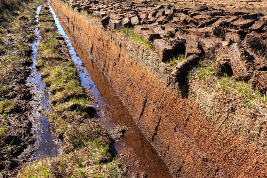 Cutted peat for whisky distilleries on island Islay, Scotland | Image Credit: © Ralf - stock.adobe.com.