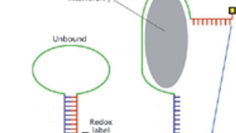 Special Issues 04 01 11 Special Issues 04 01 11