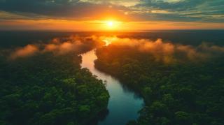 Golden sunset over lush rainforest river | Image Credit: © Ali - stock.adobe.com.