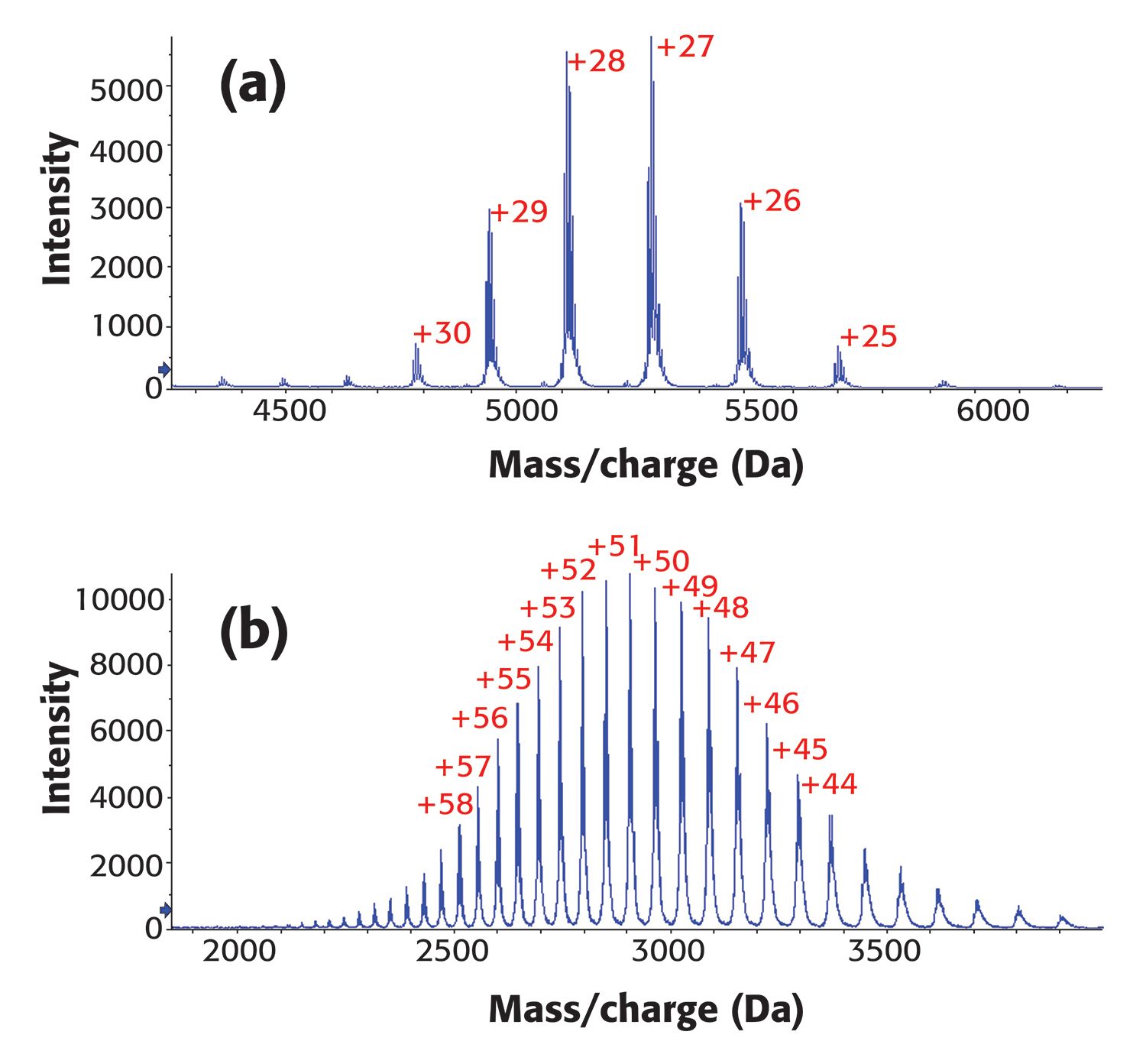 Aggregate And Fragment Analysis In Therapeutic Monoclonal Antibodies ...