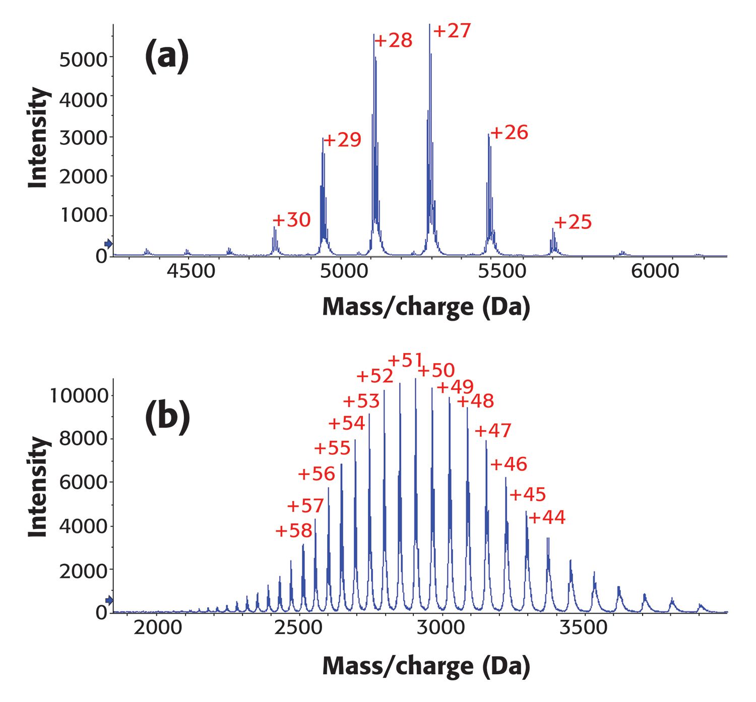 Aggregate and Fragment Analysis in Therapeutic Monoclonal Antibodies