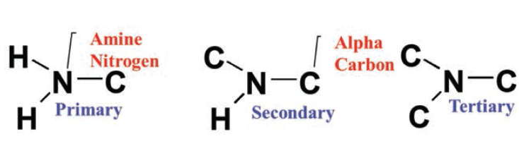 primary secondary tertiary amine