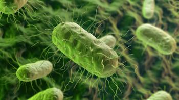 Illustration of lively E. coli bacteria in microbiology. Generated by AI. | Image Credit: © Matthew - stock.adobe.com. 