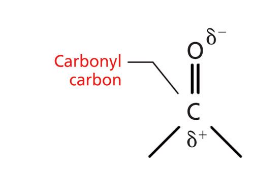 carbonyl group structure