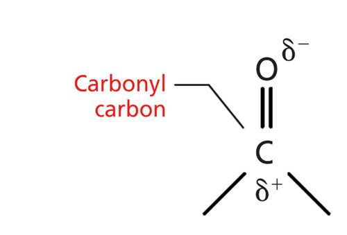 The Carbonyl Group Part I Introduction the-carbonyl-group-part-i-introduction
