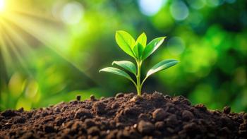 Lush green plant thriving in nutrient-rich soil, growth, vibrant, gardening, plant, healthy. Generated with AI. | Image Credit: © Andaman - stock.adobe.com