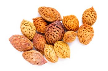 Yellow and red peach kernels isolated on a white background | Image Credit: © Maxal Tamor - stock.adobe.com