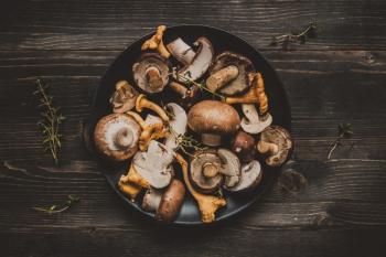 Fresh mixed forest mushrooms on the wooden black table | Image Credit: © fedorovacz - stock.adobe.com.