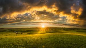 Sunset over a grassland