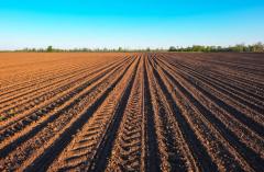 Preparing field for planting. Plowed soil in spring time with blue sky. | Image Credit: © es0lex - stock.adobe.com.
