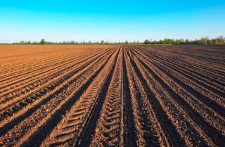 Preparing field for planting. Plowed soil in spring time with blue sky. | Image Credit: © es0lex - stock.adobe.com.