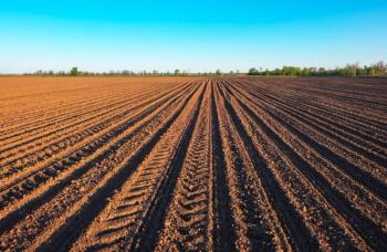 Preparing field for planting. Plowed soil in spring time with blue sky. | Image Credit: © es0lex - stock.adobe.com.