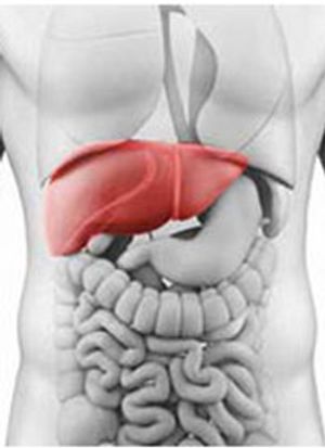 Evolution of Treatment for HCC: Sorafenib and Beyond