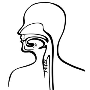 Immune Checkpoint Inhibitors Approach Frontline Setting in Head and Neck Squamous Cell Cancer