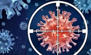 Thinking Out of the Target May Offer Clues to the Origin of Cancer