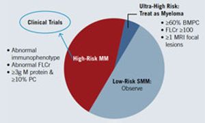 Debate Continues on Initiating Therapy for High-Risk Smoldering Myeloma