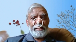 Financial Disparities Affect Outcomes for Patients With Myeloma