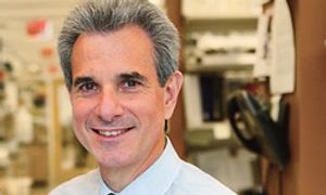 Biomarkers at 12 Weeks Predict Prognosis in mCRPC at 2 Years