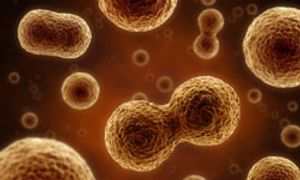 Novartis Buys Into Gene Editing With CRISPR/Cas9