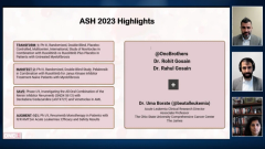 Rohit Gosain, MD; Rahul Gosain, MD; and Uma Borate, MBBS, presenting slides