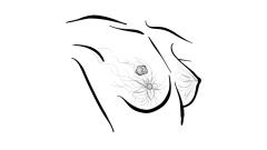 EP. 1 The Present and Future of Endocrine Therapy in Breast Cancer